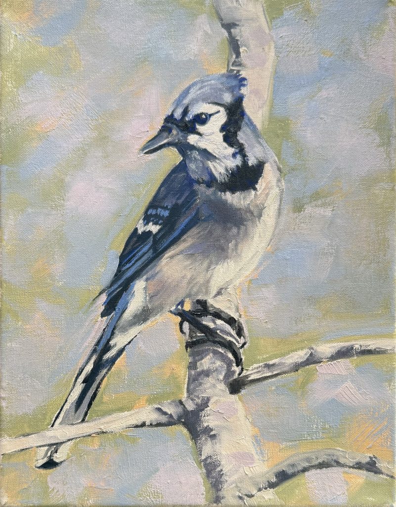 Jay