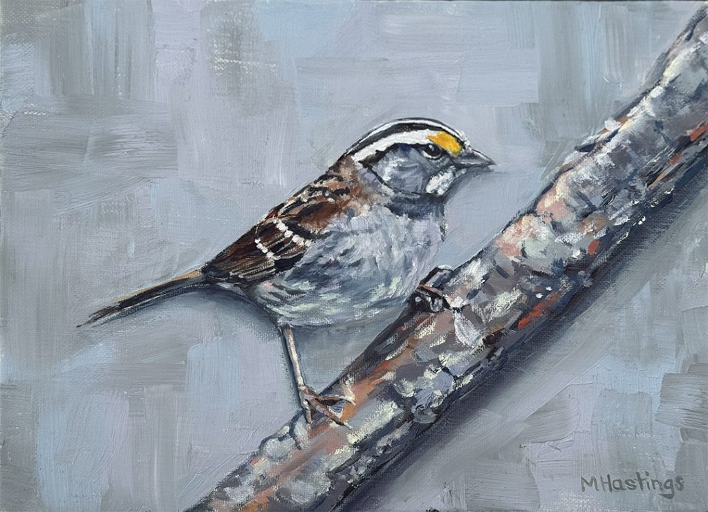 Tom's Song Sparrow